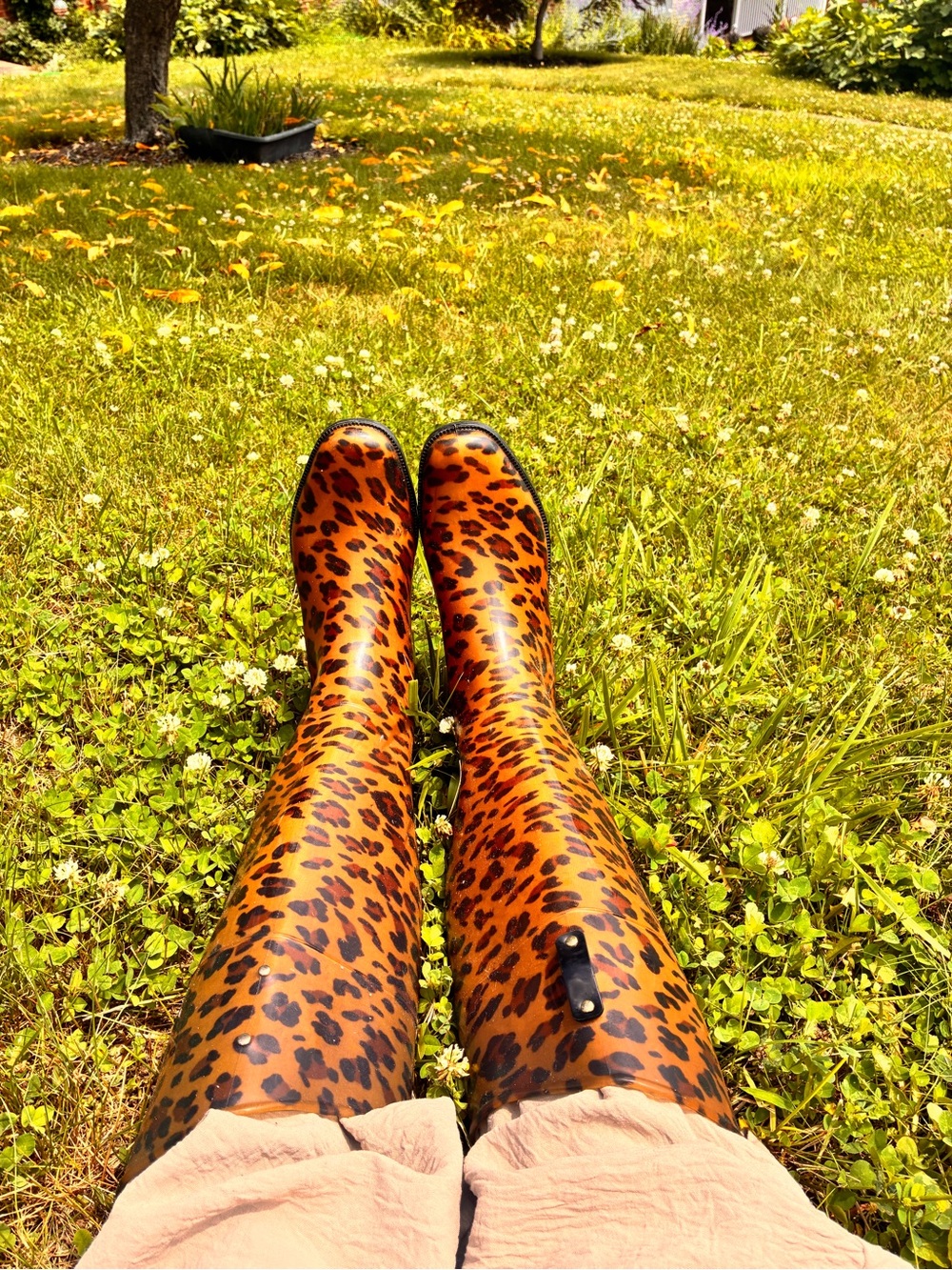 Ralph Lauren Leopard Print Tall Rain Boots in Brown and Black